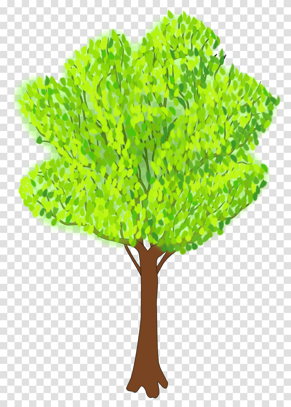 Tree With The Green Foliage In Summer Clipart Free Image Clipart Tree In Summer, Plant, Leaf, Fungus, Vegetation Transparent Png