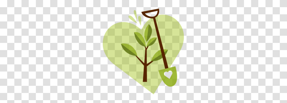 Tree With Three Branches Clipart Clip Art Images, Plant, Tennis Ball, Sport, Sports Transparent Png