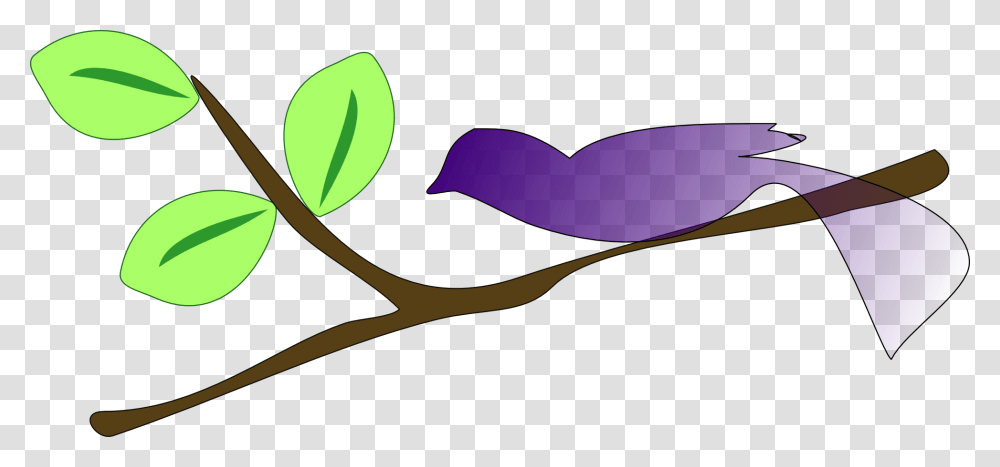 Tree With Three Branches Clipart Transparent Png