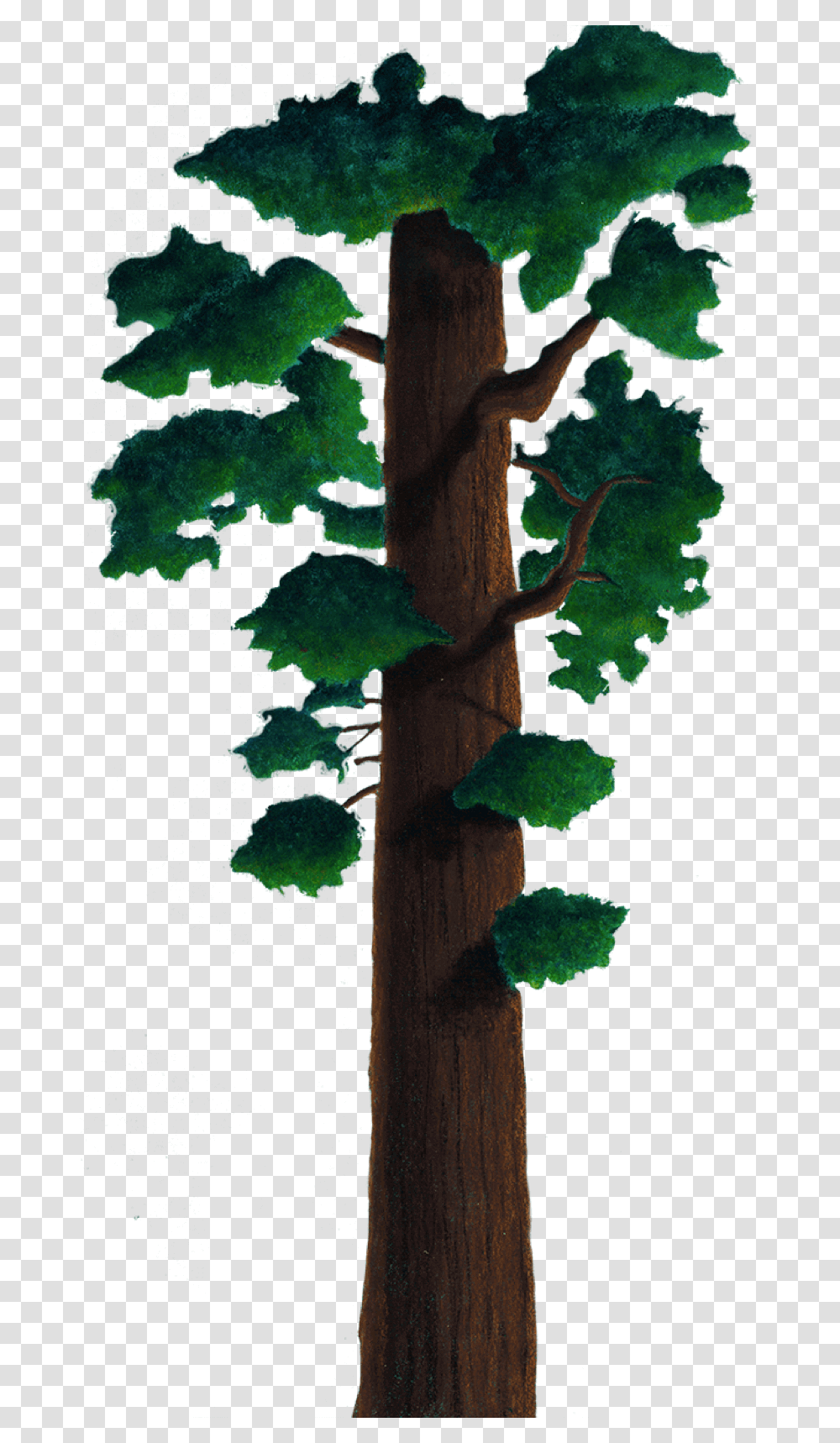 Tree Wood, Cross, Plant, Leaf Transparent Png