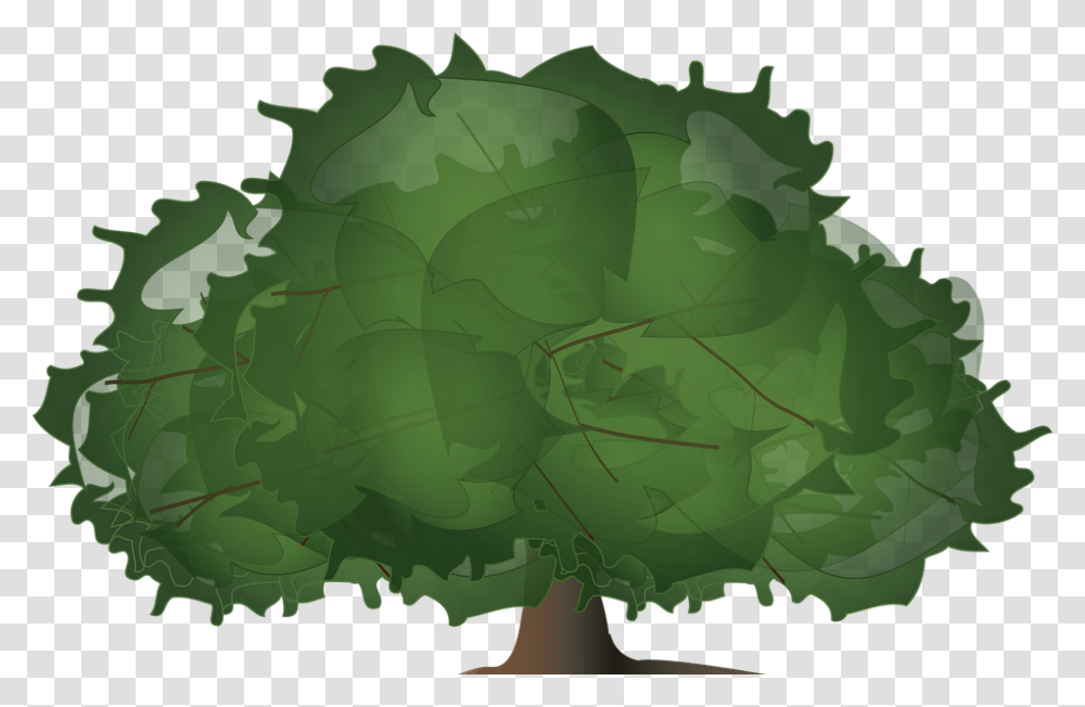 Tree Wood Paper Leaves Plant Bush Foliage Illustration, Leaf, Vegetable, Food, Green Transparent Png