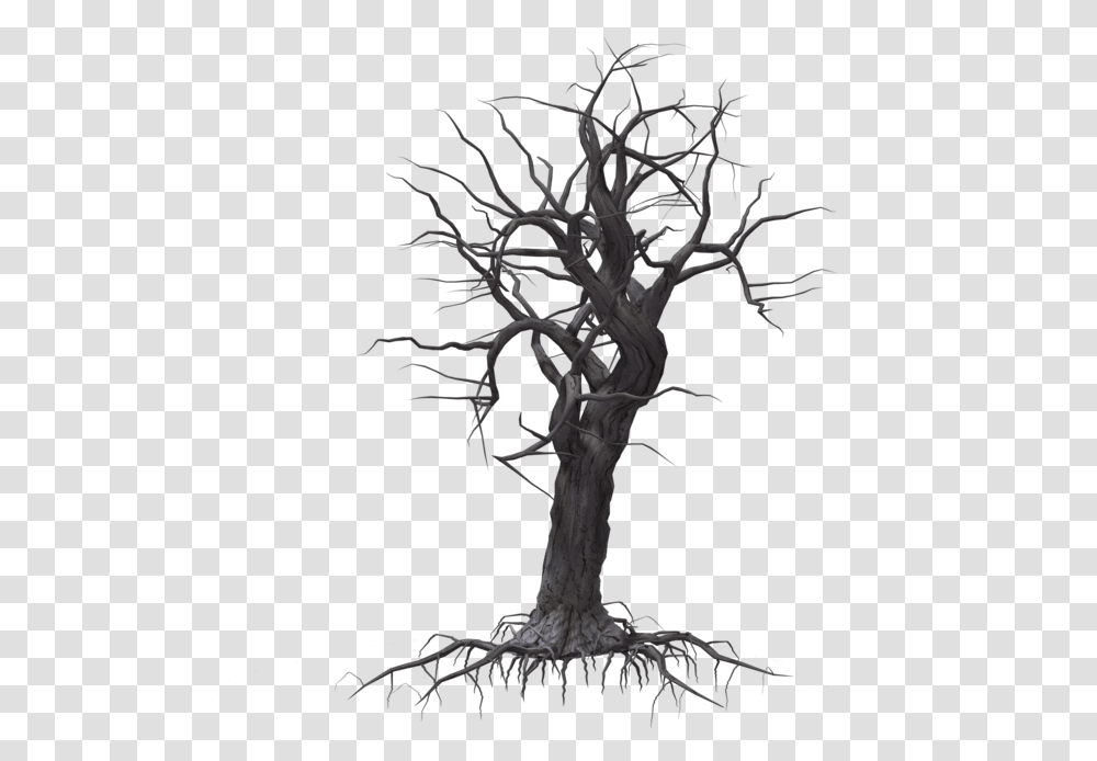Tree Woody Plant Drawing Woody Plant, Root, Cross, Tree Trunk Transparent Png