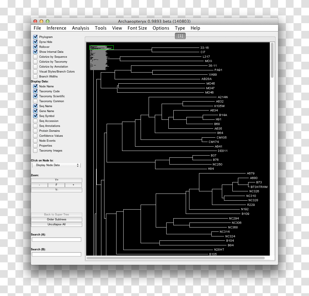 Tree, Word, Plan, Plot, Diagram Transparent Png