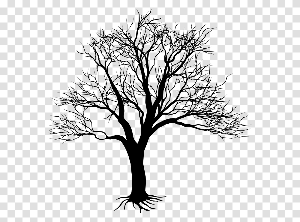 Treebranchwoody Stemblack And Whiteillustrationline Kill A Mockingbird Tree, Plant, Tree Trunk, Oak, Leaf Transparent Png