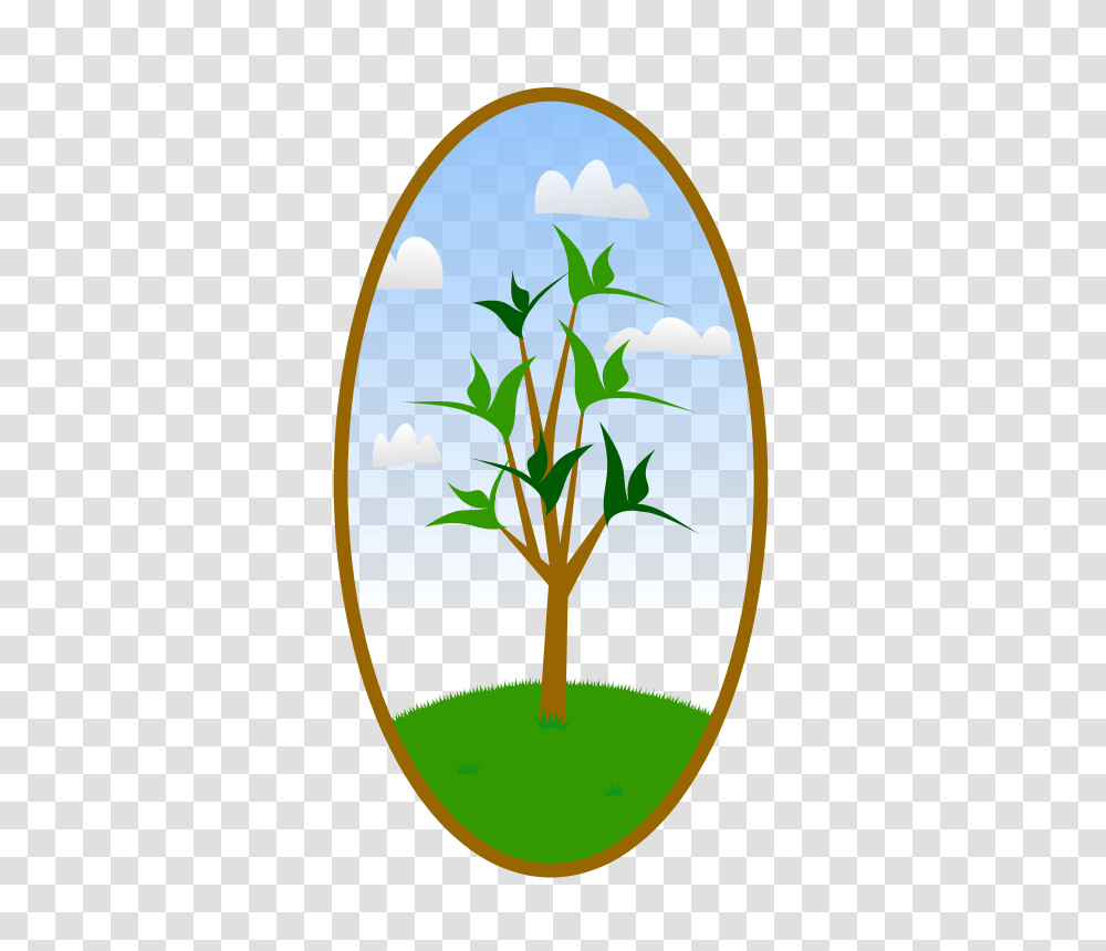 TREEBUTTON, Nature, Egg, Food, Easter Egg Transparent Png