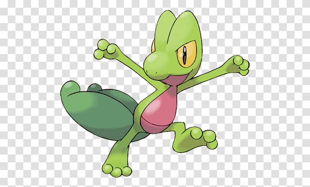 Treecko Pokemon Treecko, Animal, Amphibian, Wildlife, Frog Transparent Png