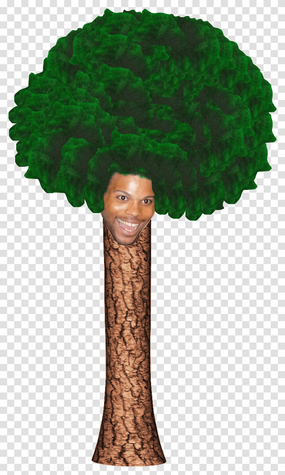 Treehard Trihard, Hair, Person, Human Transparent Png