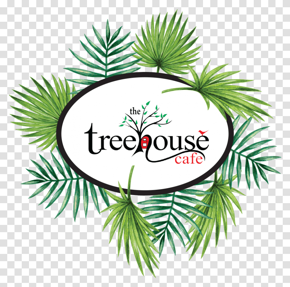 Treehouse Cafe Ulladulla Cafe Tree House Logo, Plant, Vegetation, Green, Conifer Transparent Png