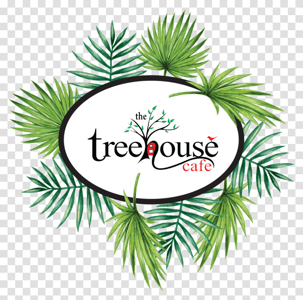 Treehouse Cafe Ulladulla, Plant, Vegetation, Green, Conifer Transparent Png