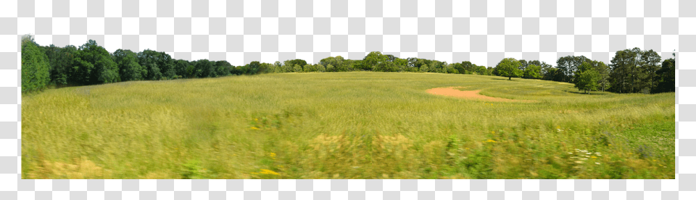 Treeline Field Background, Grassland, Outdoors, Nature, Plant Transparent Png