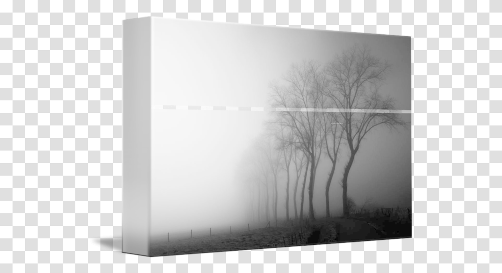 Treeline In The Fog By Jurgen, Nature, Weather, Outdoors, Mist Transparent Png