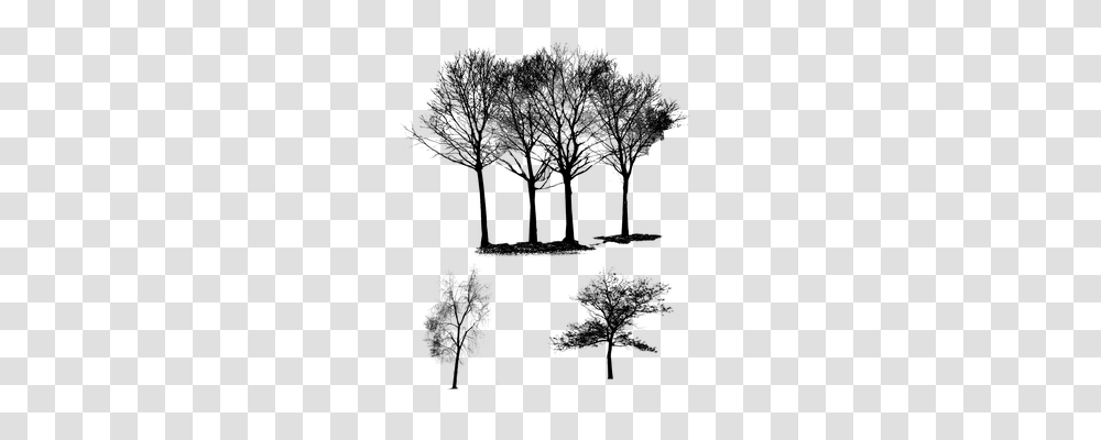 Trees Nature, Gray, World Of Warcraft Transparent Png