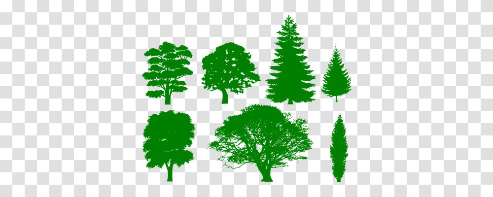 Trees Technology, Green, Leaf, Plant Transparent Png