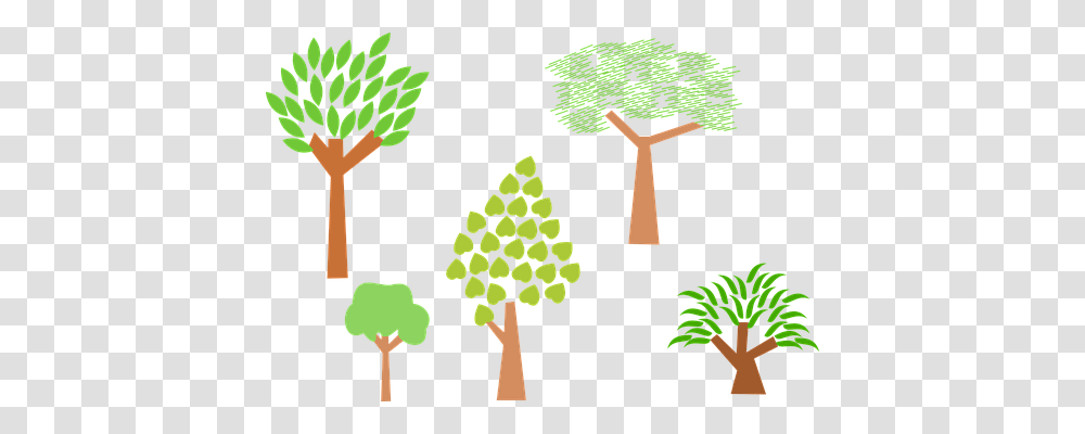 Trees Nature, Green, Plant, Vegetation Transparent Png
