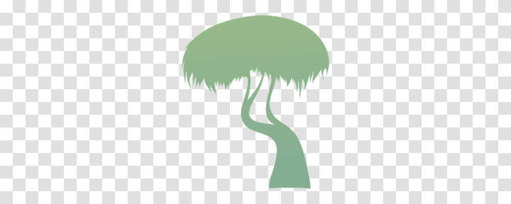 Trees Nature, Animal, Plant Transparent Png
