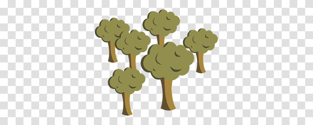 Trees Nature, Plant, Root, Vegetable Transparent Png