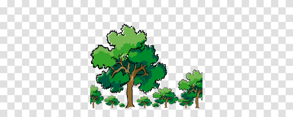 Trees Nature, Plant, Vegetation, Rainforest Transparent Png