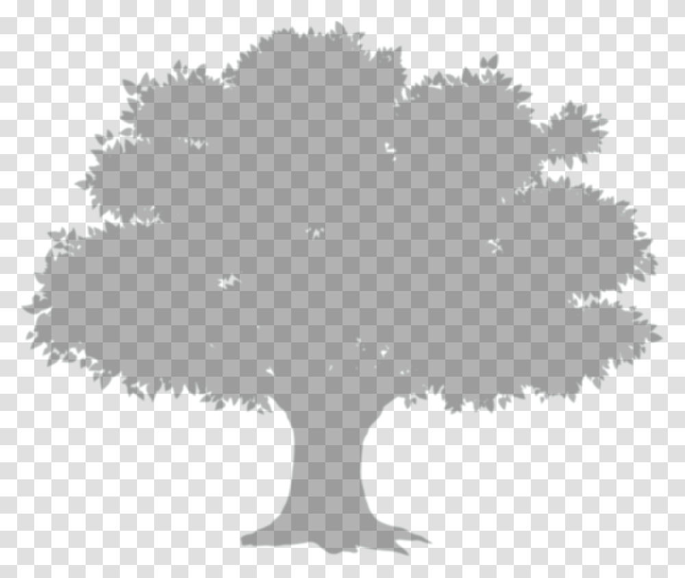 Trees Album Transprent Tree Shadow, Lighting, Silhouette, Nature, Outdoors Transparent Png