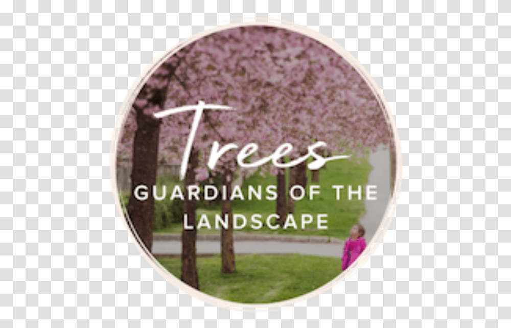 Trees Along Path Dvd, Person, Human, Poster, Advertisement Transparent Png