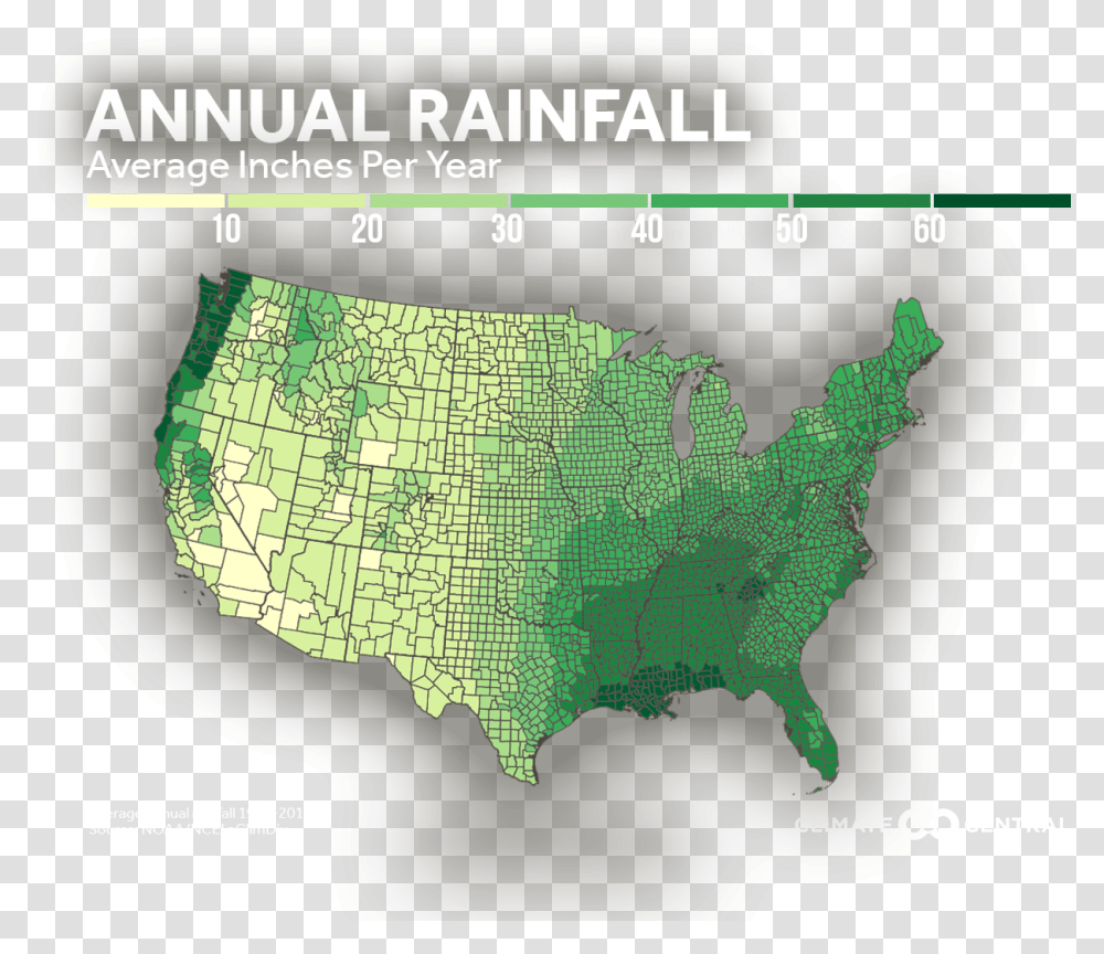 Trees And Annual Rainfall Climate Central Atlas, Map, Diagram, Plot, Vegetation Transparent Png