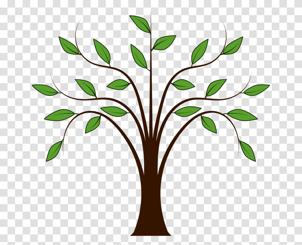 Trees And Leaves Download Branch Drawing, Floral Design, Pattern Transparent Png