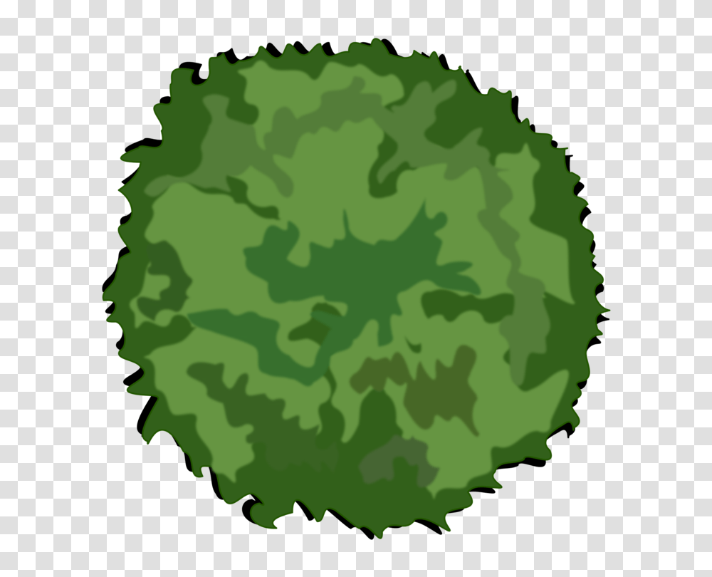 Trees And Leaves Shrub Drawing, Green, Plant, Military Uniform, Painting Transparent Png