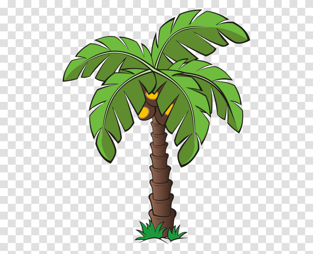 Trees And Plants Clipart, Leaf, Palm Tree, Arecaceae, Green Transparent Png