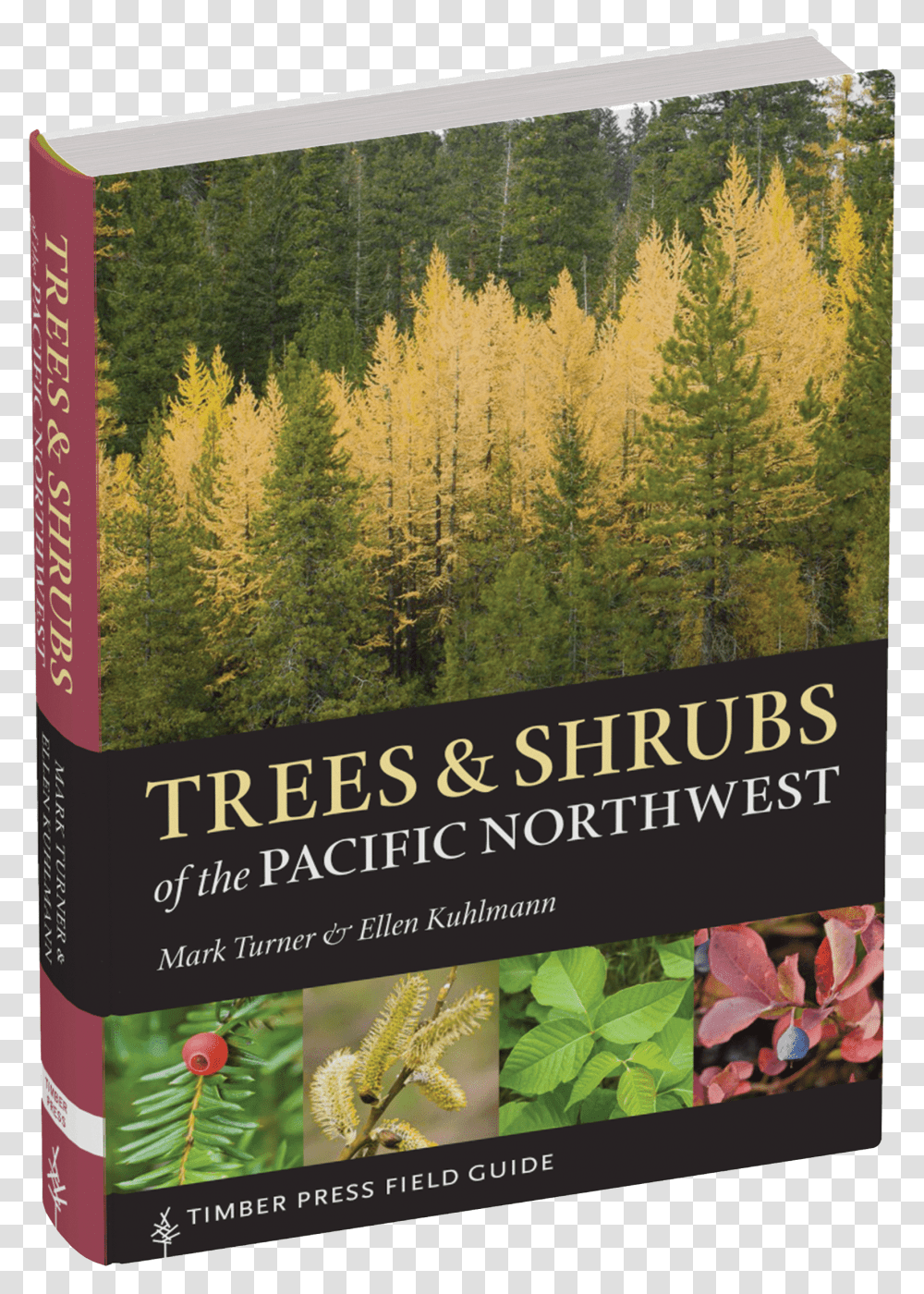 Trees And Shrubs Of The Pacific Northwest Trees And Shrubs Of The Pacific Northwest, Plant, Potted Plant, Vase, Jar Transparent Png
