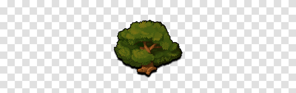 Trees Battle Nations Wiki Fandom Powered, Leaf, Plant, Oak, Vegetation Transparent Png