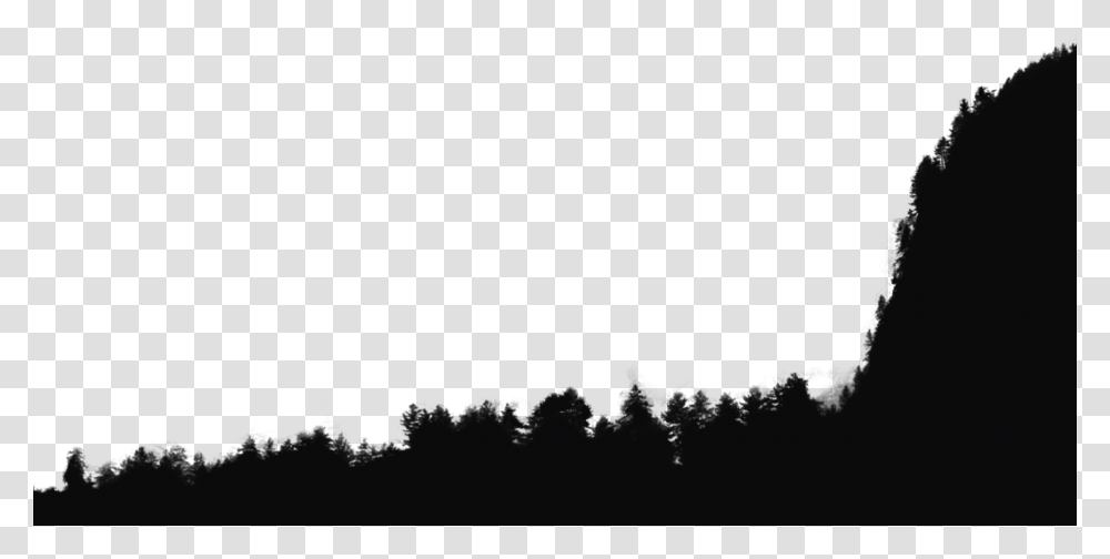 Trees Canadian Fir, Outdoors, Nature, Astronomy, Gray Transparent Png
