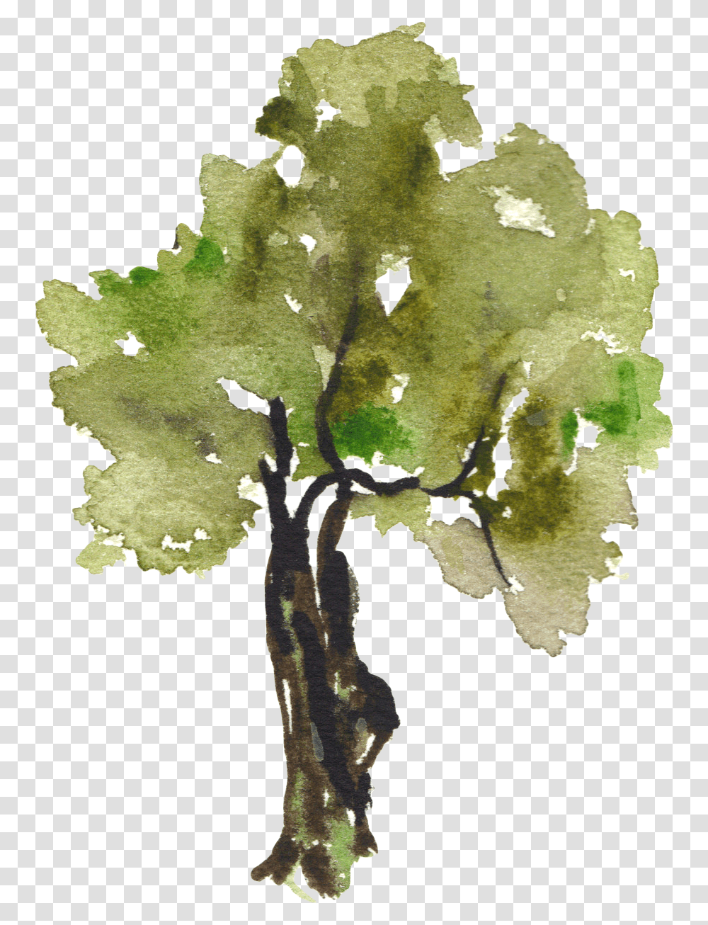 Trees Clip Art Water Color Tree Background, Plant, Leaf, Tree Trunk, Rug Transparent Png