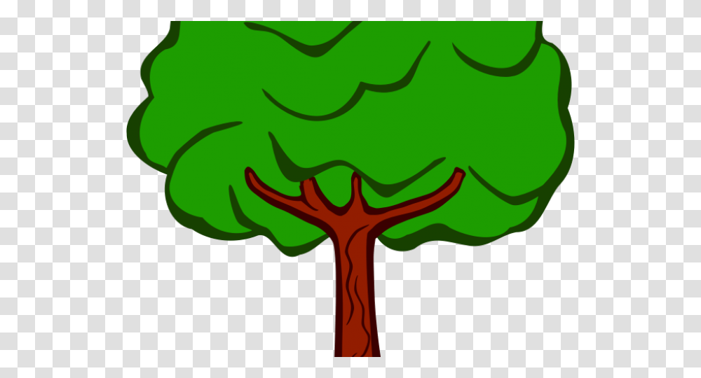 Trees Clipart School Tree Drawing With Color, Plant, Vegetation, Antelope, Flower Transparent Png
