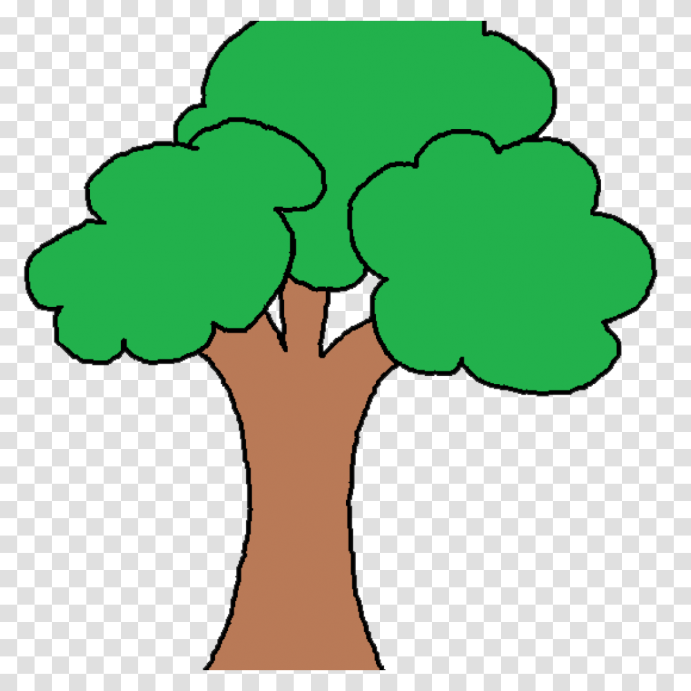 Trees Cliparts Free Clipart Download, Plant, Person, Human, Palm Tree Transparent Png