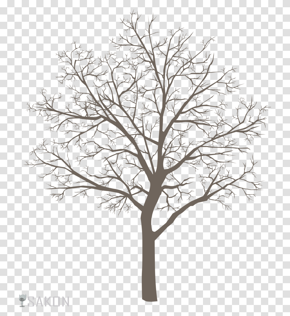 Trees Drawing Portable Network Graphics, Plant, Oak, Silhouette, Tree Trunk Transparent Png