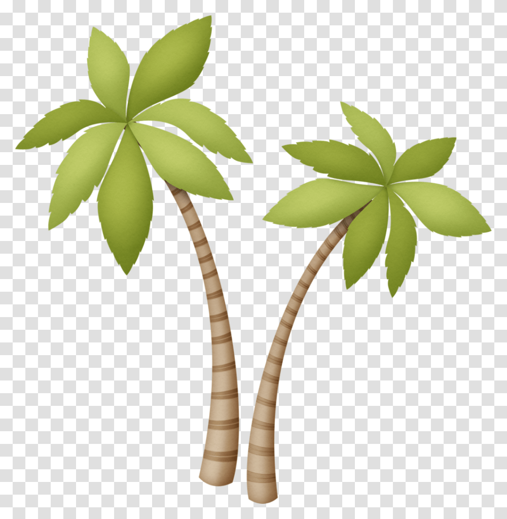 Trees Explore Beach, Plant, Leaf, Palm Tree, Arecaceae Transparent Png