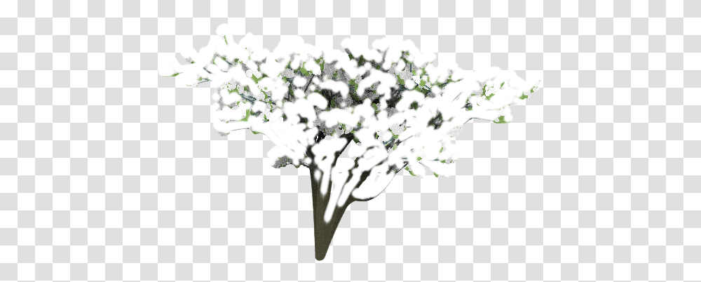 Trees For Project Dogwaffle Bouquet, Plant, Flower, Flower Arrangement, Flower Bouquet Transparent Png