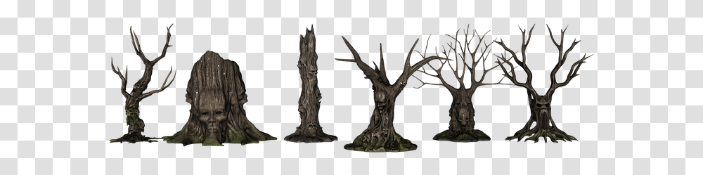 Trees Forest Creepy Fantasy Aesthetic Kahl Scary Fantasy Trees, Wood, Plant, Painting, Root Transparent Png