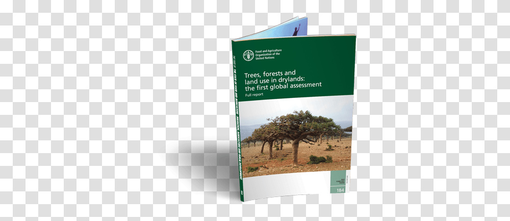 Trees Forests And Land Use In Drylands The First Global Palm Tree, Poster, Advertisement, Flyer, Paper Transparent Png
