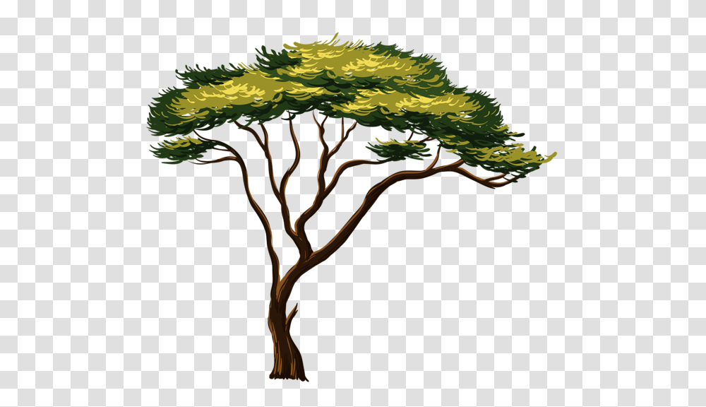 Trees In African Tree, Bush, Vegetation, Plant Transparent Png