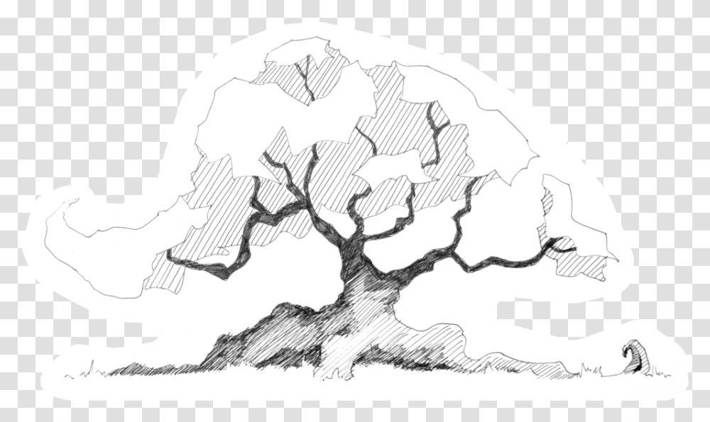 Trees In Plan Image Trees Plan Black And White, Drawing, Art, Plot, Plant Transparent Png