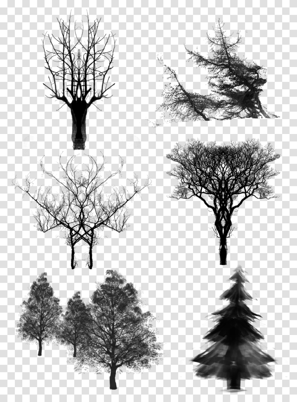 Trees Ink Dead Wood And Psd, Gray, World Of Warcraft Transparent Png