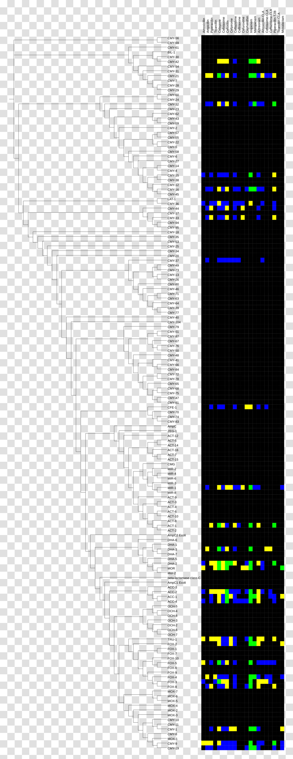 Trees Plan View Phylogenetic Tree Download Original Diagram, Pac Man, Text, Wood Transparent Png