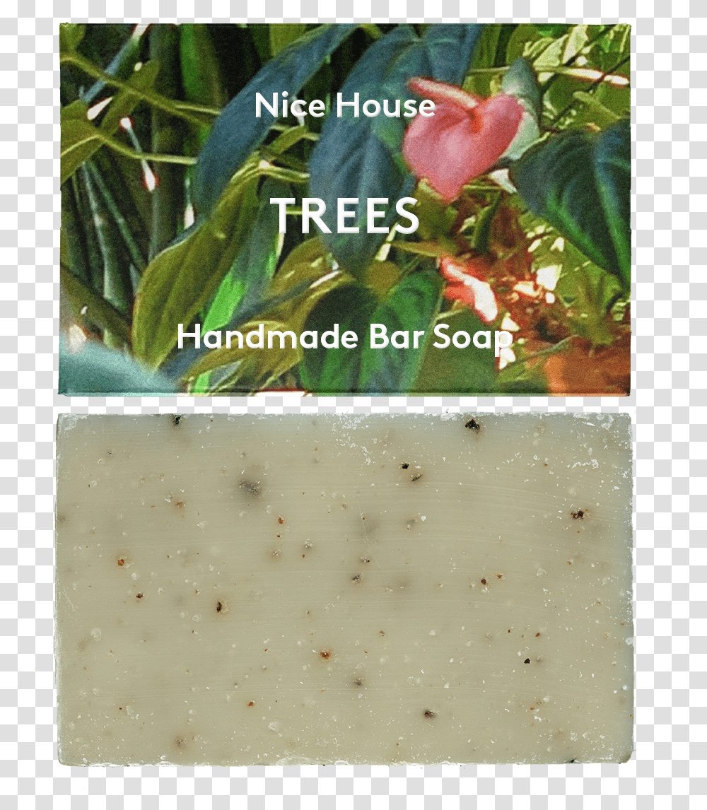 Trees Soap Hardy Kiwi, Plant, Collage, Poster, Advertisement Transparent Png