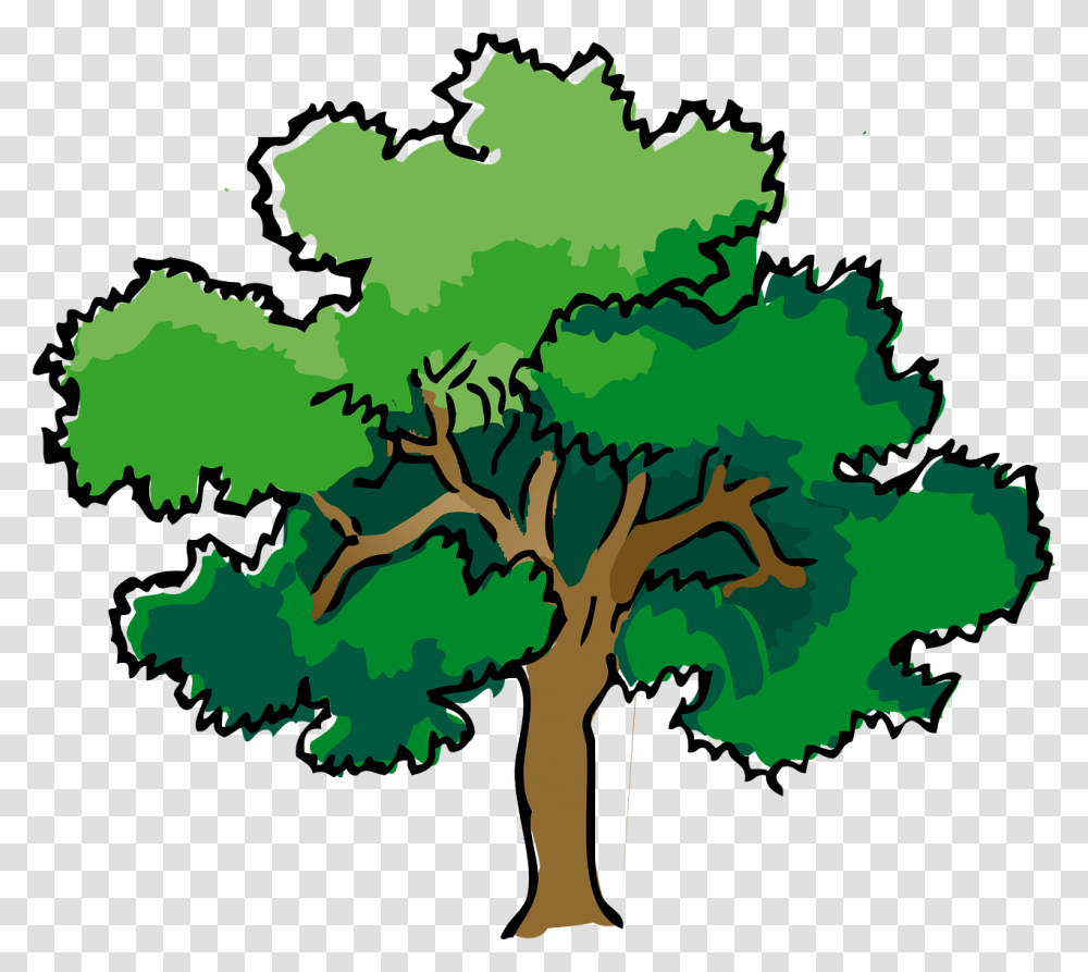 Trees Steemit, Plant, Green, Vegetation, Rainforest Transparent Png