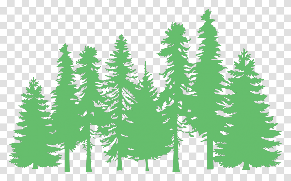 Trees Svg Cut File Pine Tree Silhouette, Plant, Fir, Abies, Conifer Transparent Png