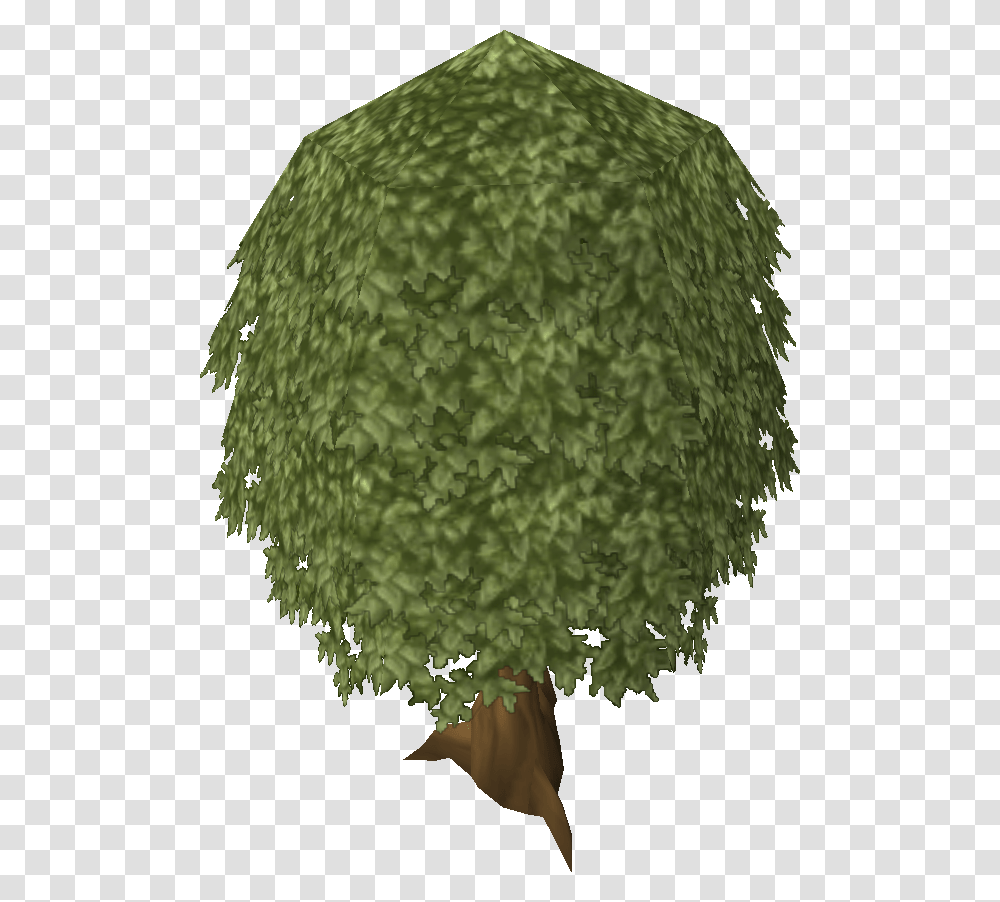 Trees Top View Runescape Tree, Grass, Plant, Apparel Transparent Png