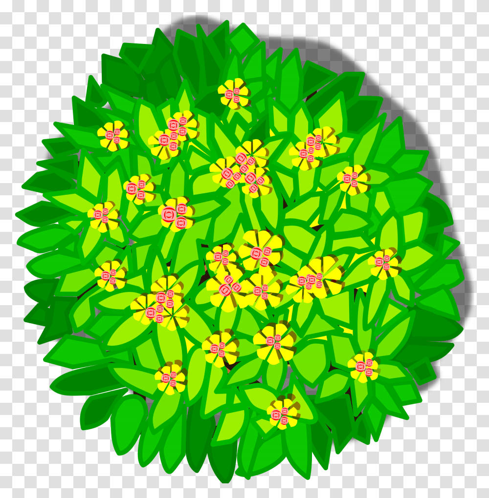 Trees Top View Tree Planting Landscaping Shrub Plants Plants Top View, Graphics, Art, Floral Design, Pattern Transparent Png