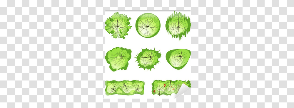 Trees Top View Wall Mural • Pixers We Live To Change Treesfor Plot Plans, Green, Leaf, Plant, Moss Transparent Png