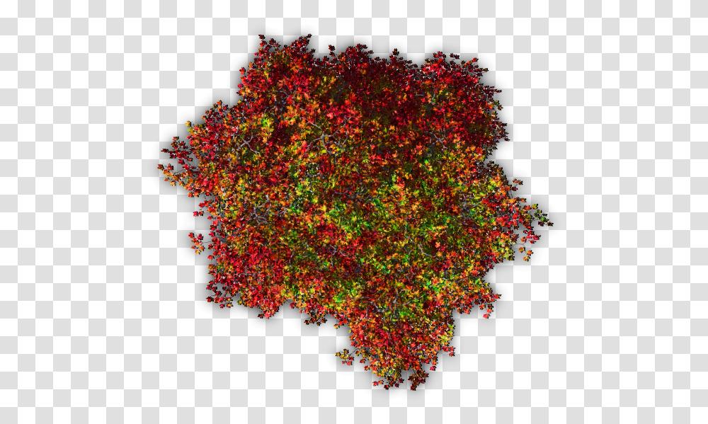Trees Tree Blossoms Nature Red Autumn Topview Colored Tree Top View, Ornament, Pattern, Fractal, Mountain Transparent Png