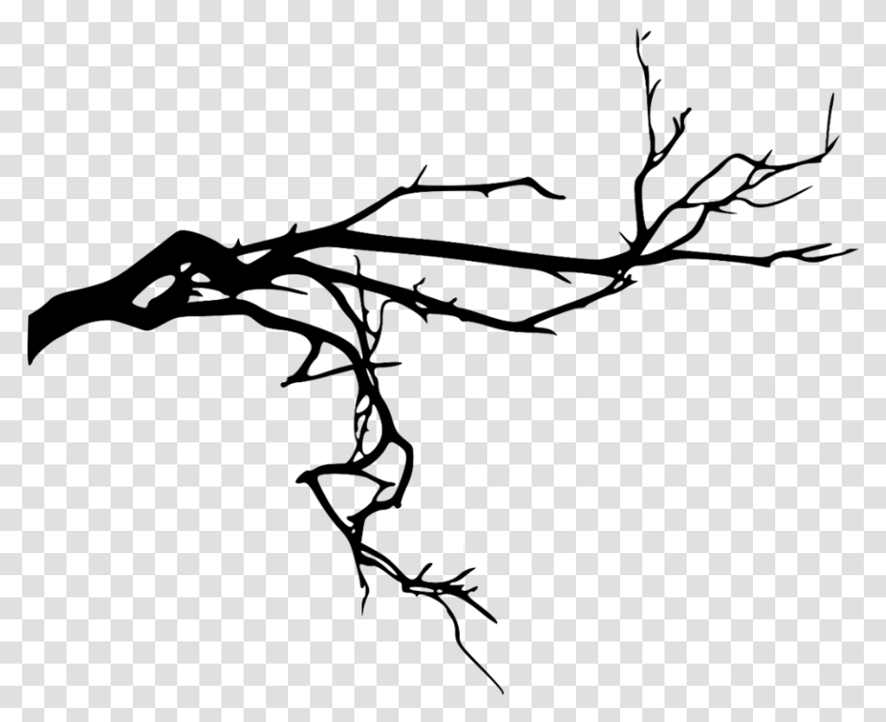 Trees Tree Foliage Shadow Black Nature Plants Tree Branch Shadow Drawing, Gray Transparent Png